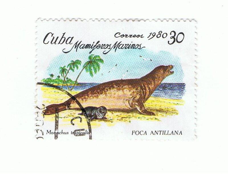 Марка почтовая. Морские животные. Cuba. FOCA ANTILLANA.