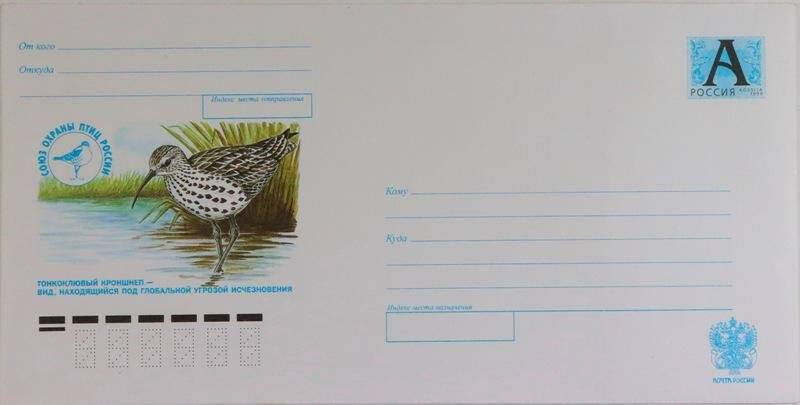 Конверт почтовый с изображением тонкоклювого кроншнепа.