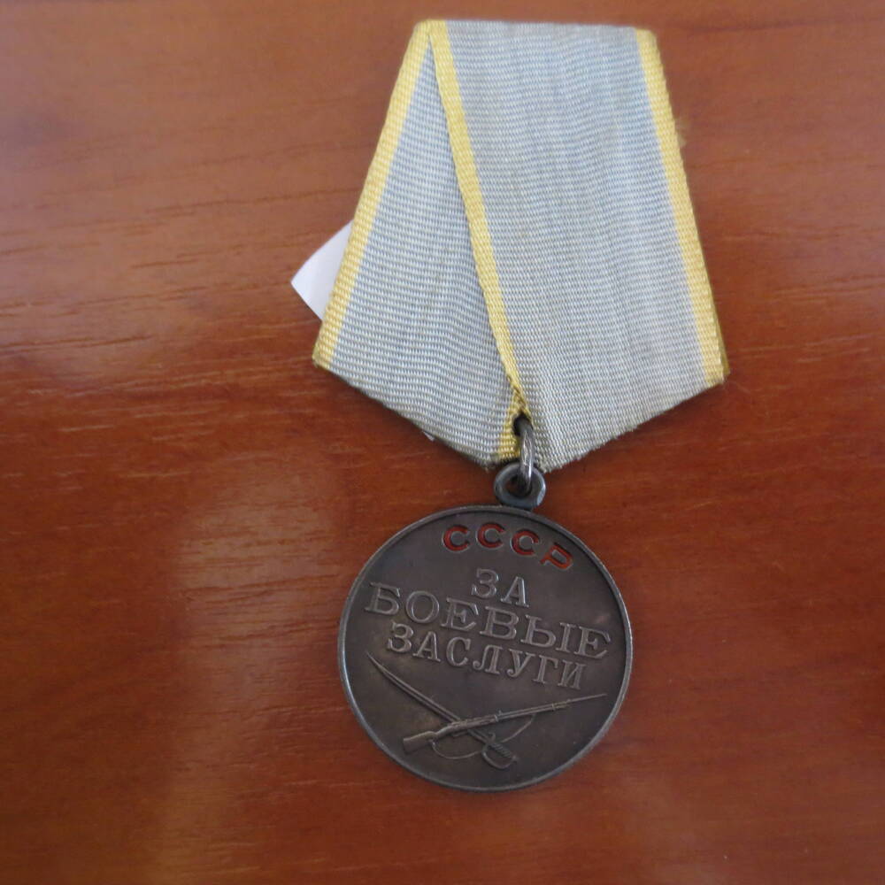 Медаль За боевые заслуги Солдатенок Т. П.