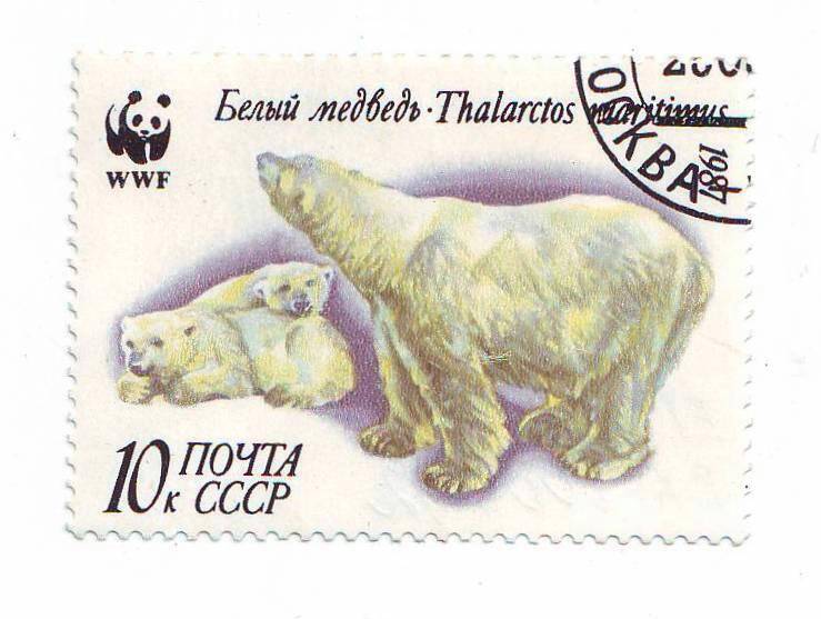 Марка почтовая СССР 10 копеек «Белый медведь» из серии Животные.