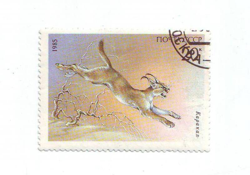 Марка почтовая СССР 20 копеек из серии Животные.
