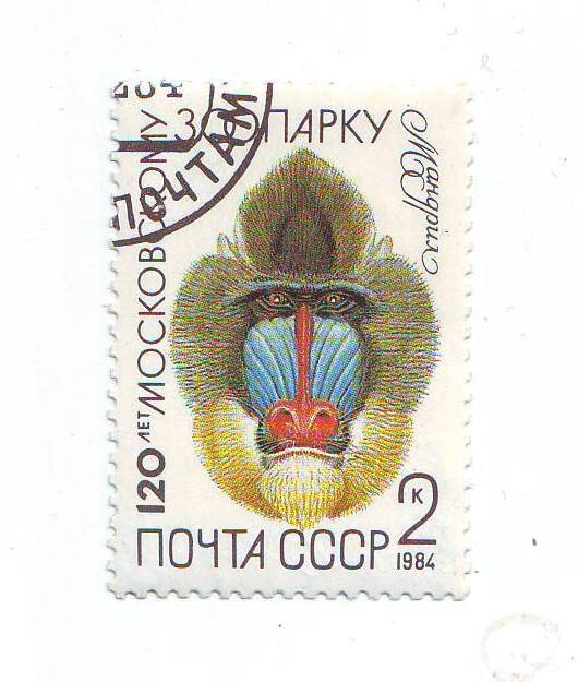 Марка почтовая СССР 2 копейки из серии Животные.