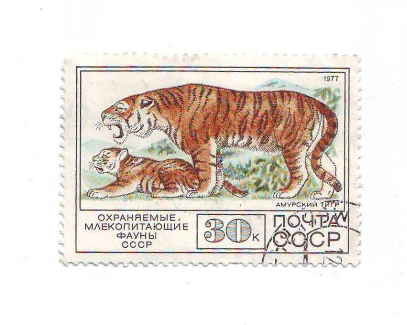 Марка почтовая СССР 30 копеек «Амурский тигр» из серии Животные.