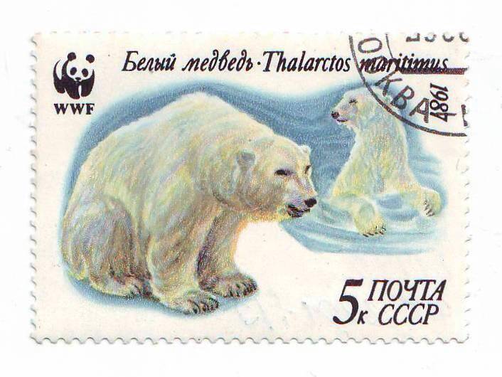 Марка почтовая СССР 5 копеек «Белый медведь» из серии Животные.