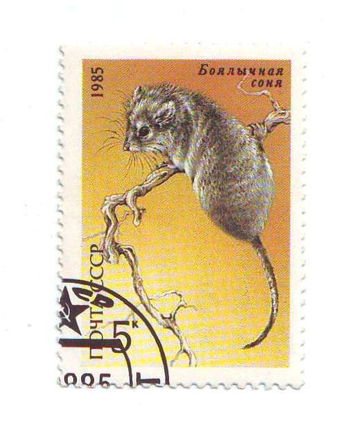 Марка почтовая СССР 5 копеек из серии Животные.