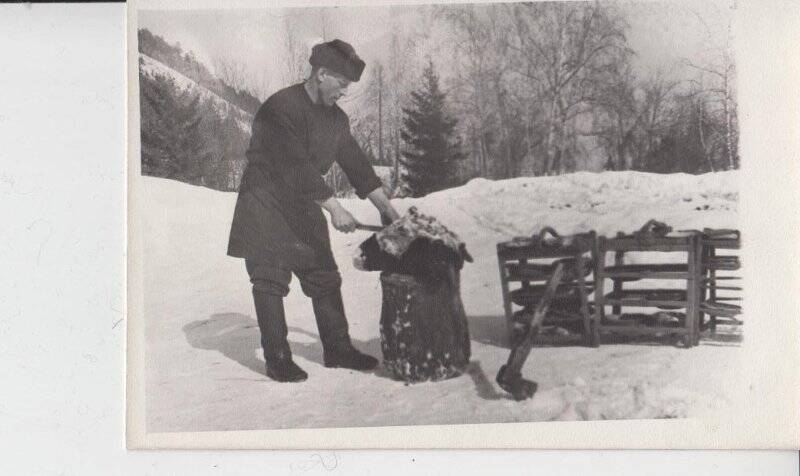 Фотография. Рабочий зверофермы совхоза Орджоникидзе