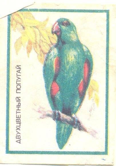 Спичечная этикетка из серии Попугаи. Двухцветный попугай.