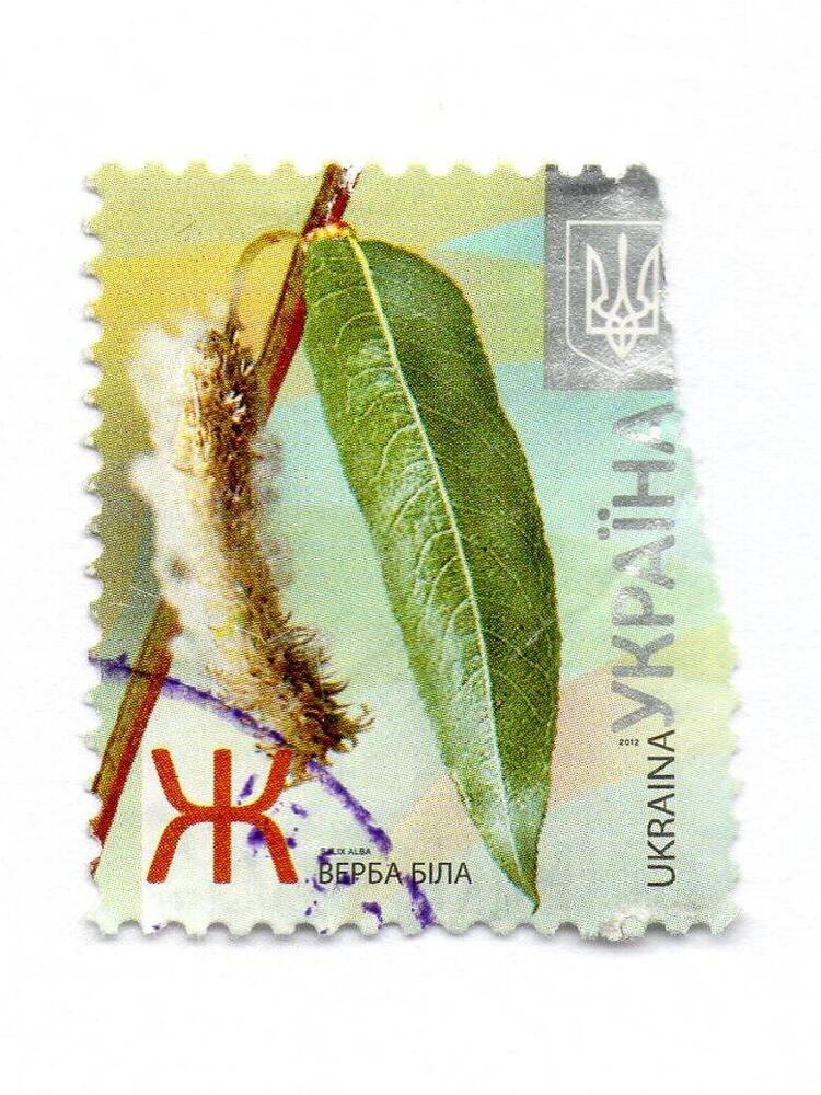 Марка почтовая «Белая верба», Украина