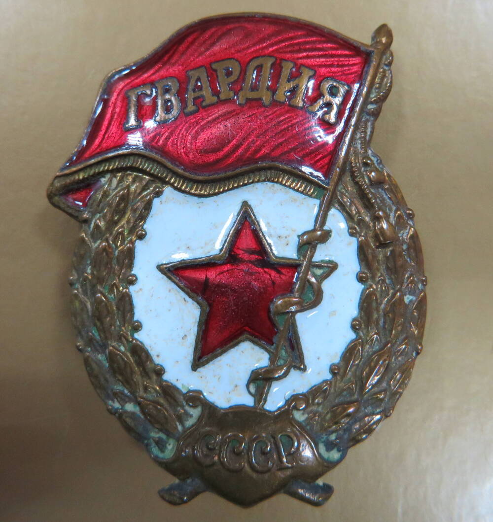 Знак Гвардия Семерозубова Н.Н.