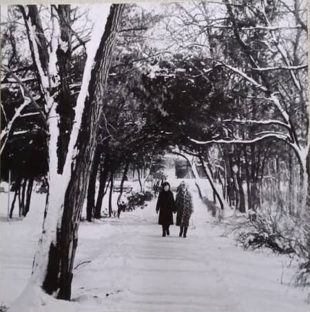 Фотография. Зима в городе Лабинске в 1991 году.  Прогулка по парку.