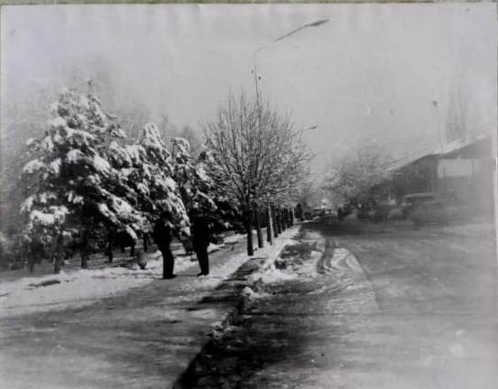 Фотография. Зима в городе Лабинске в 1991 году. Сквер.