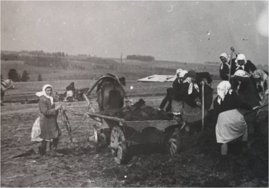 Фотография. Чёрно-белое.Подлинное.Женщины на сельхоз работах.