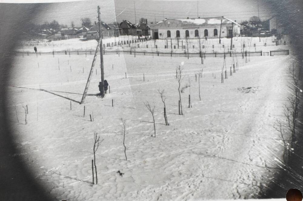 Фотография .Вновь построенное в 1958 г здание районной библиотеки, посаженные деревья