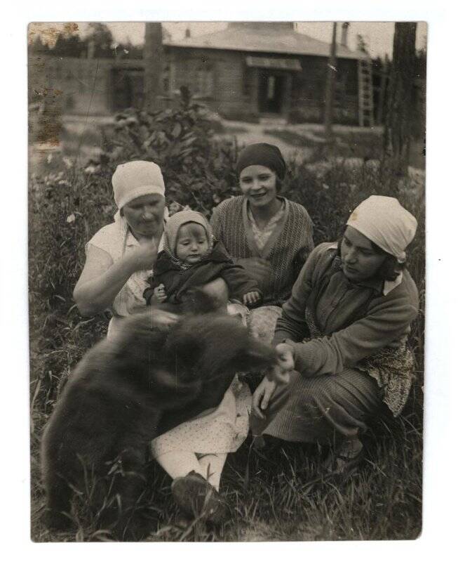 Фотография. Медвежонок в питомнике зоофермы Повенецкого пушного совхоза Беломорканала.