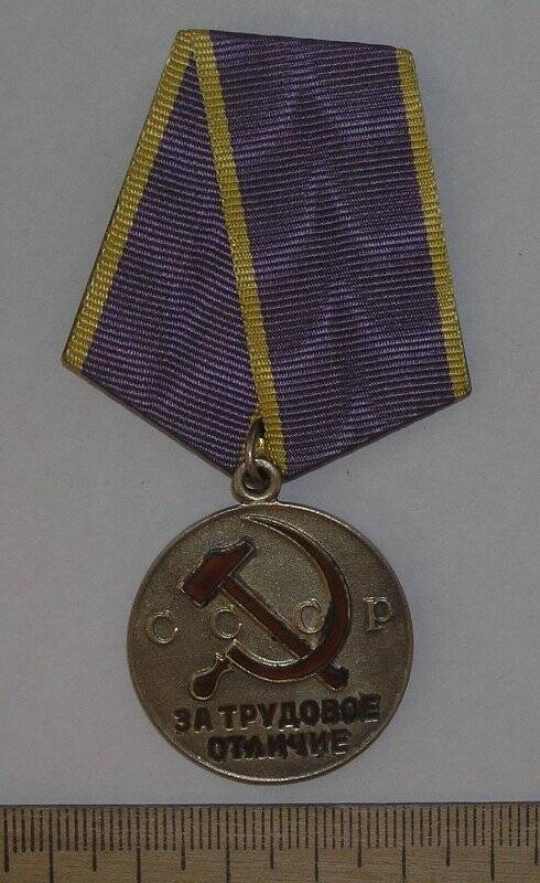 Медаль За трудовое отличие.