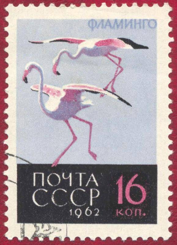 Марка почтовая гашеная. Фламинго  (Phoenicopterus roseus)