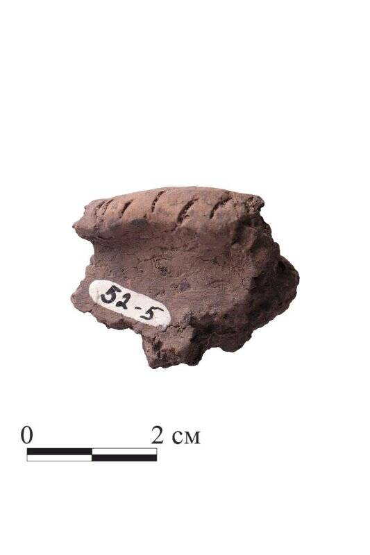 Фрагмент венчика сосуда. Колхозное 1.