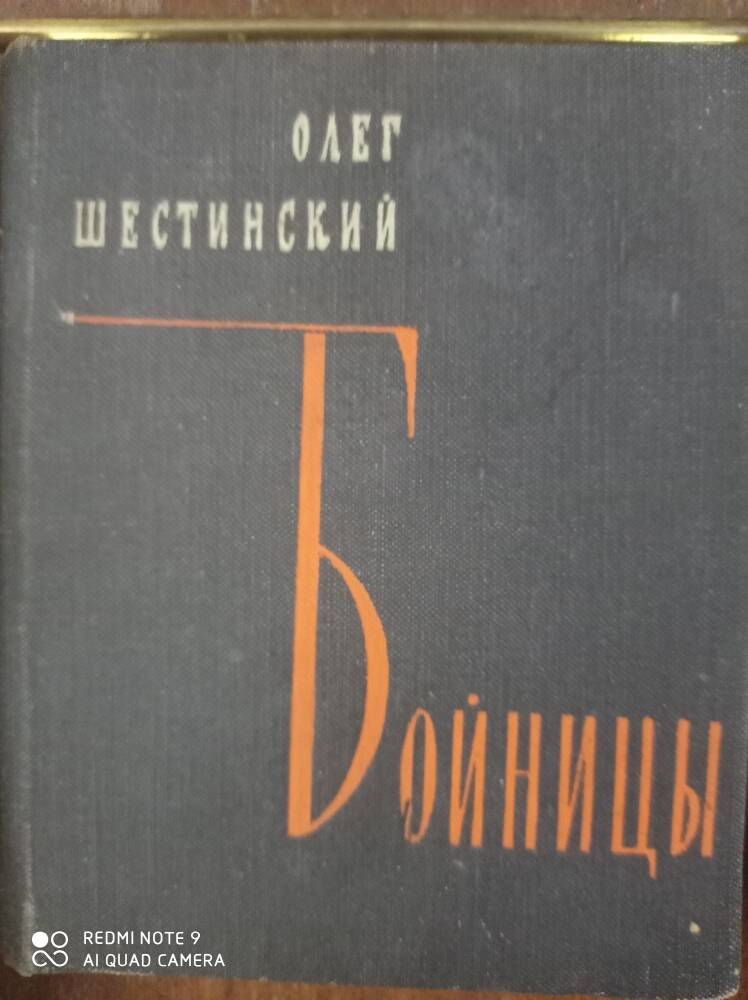 Книга Бойницы Олег Шестинский
