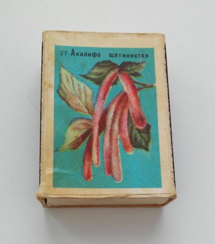 Коробок спичечный «Акалифа щетинистая», из набора сувенирных спичечных коробков «Главный ботанический сад АН СССР»