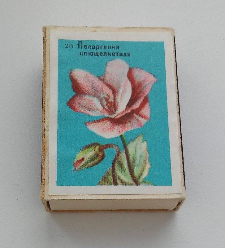 Коробок спичечный «Пеларгония плющелистная», из набора сувенирных спичечных коробков «Главный ботанический сад АН СССР»