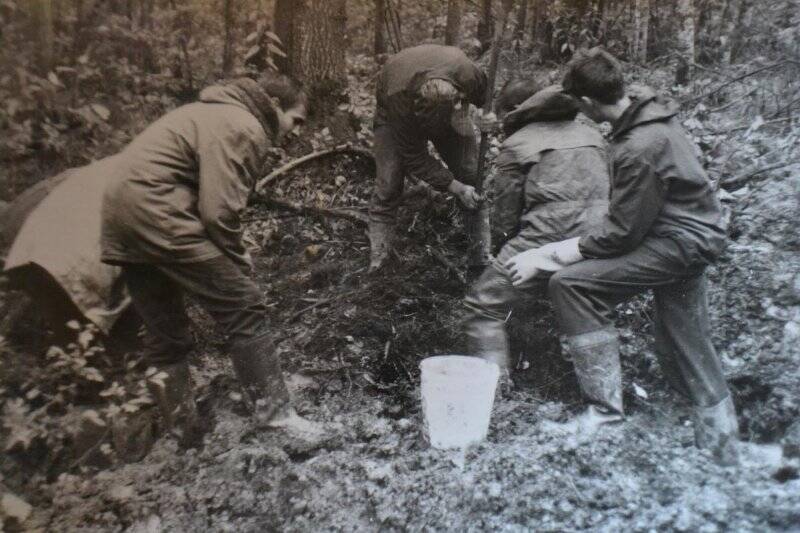 Фотоснимок. Сюжетный. ребята копают в лесу (шесть человек)