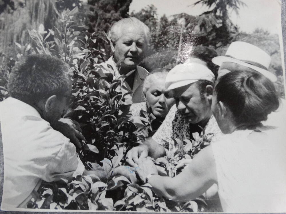 Фото. М.Цихиев и В.Баллаев в г. Сочи, 1972 г.