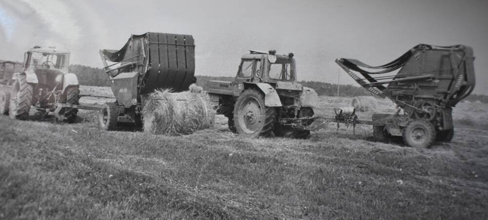 Фотография. Заготовка сена в совхозе  Березовский  Жиздринского района