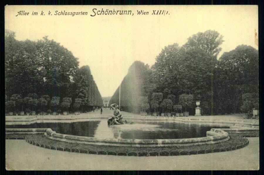 Allee im k. k. Schlossgarten Schonbrunn, Wien XIII. (Аллея в дворцовом парке Шонбрунн, Вена).