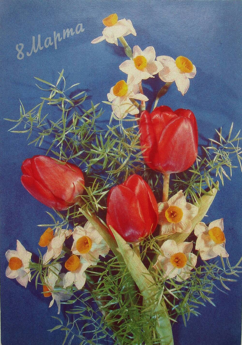 Открытка поздравительная. На синем фоне изображен букет цветов, обрамлённый зеленью из трёх красных тюльпанов и двенадцати белых нарциссов с желтой серединкой. Вверху надпись серебристой краской: «8 марта» 1990 год.