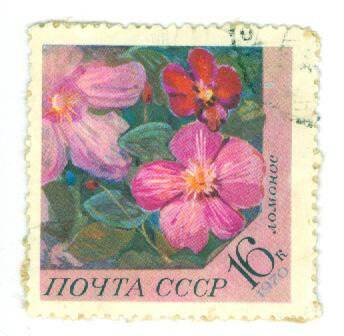 Почтовая марка 16 копеек с изображением Цветы ломоноса