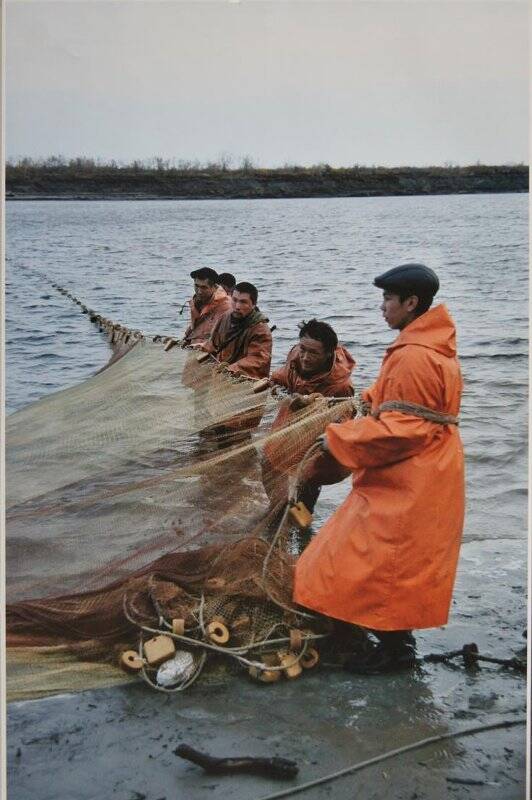 Фотография. Рыбаки тащат сеть. Авторской коллекции.