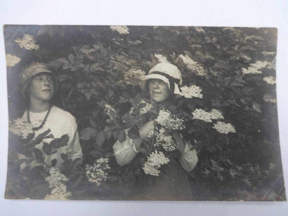 Фотография ч/б
Елена и Нина Киреевские в цветущем кустарнике