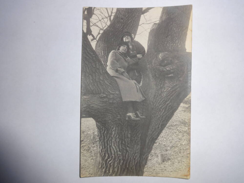 Фотография ч/б
Девушки на стволе дерева