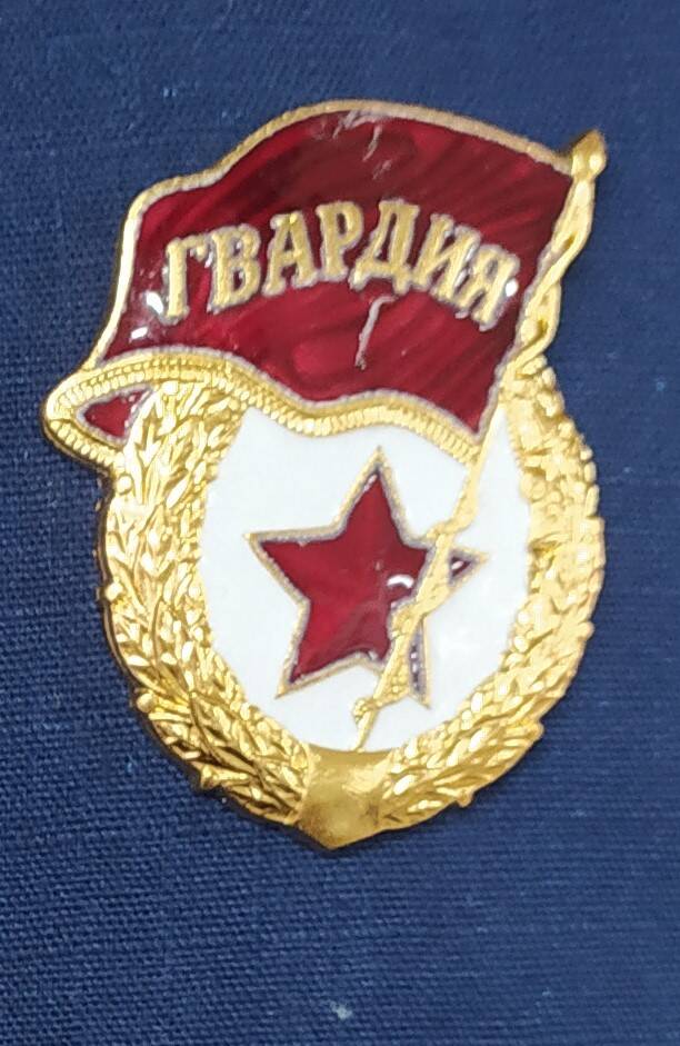 Знак Гвардия генерал-полковника Сердюкова А.Н.