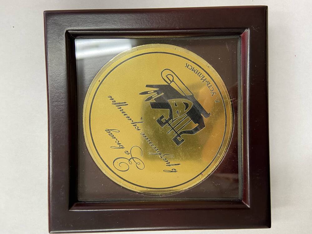 Медаль настольная в футляре коричневого цвета За вклад в развитии культуры г. Усть-Илимск