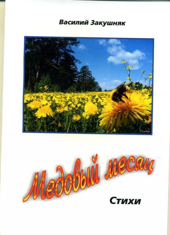 Сборник стихов. Медовый месяц. Барабинск, 2010 г. - 86 стр.