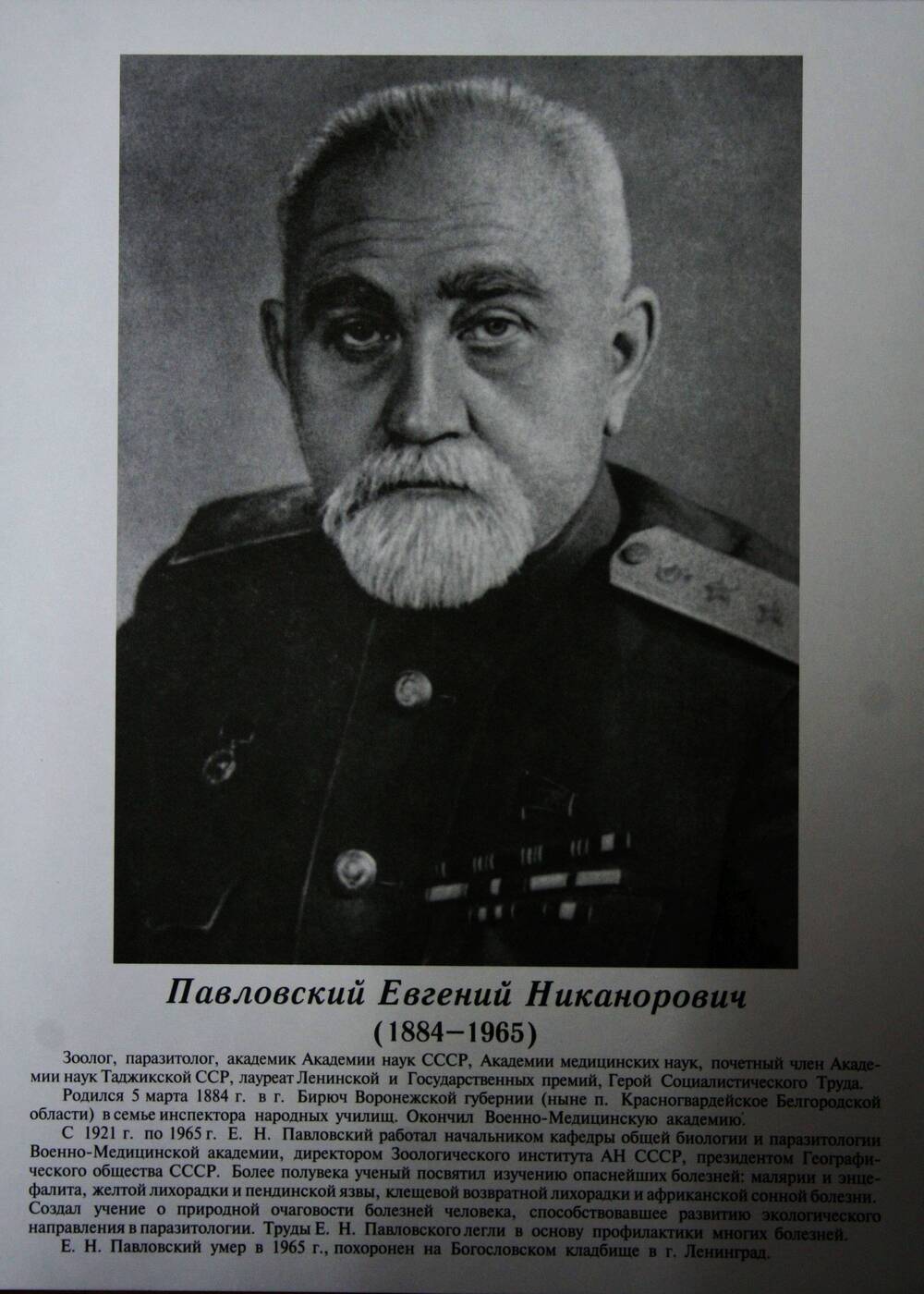 Плакат (фотопортрет) из комплекта Галерея славных имен Белгородчины. Павловский Евгений Никанорович (1884-1965).