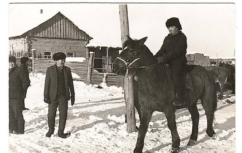 Фотографии. Ч/б. Верхом на лошади Герасимов Иван Иннокентьевич.