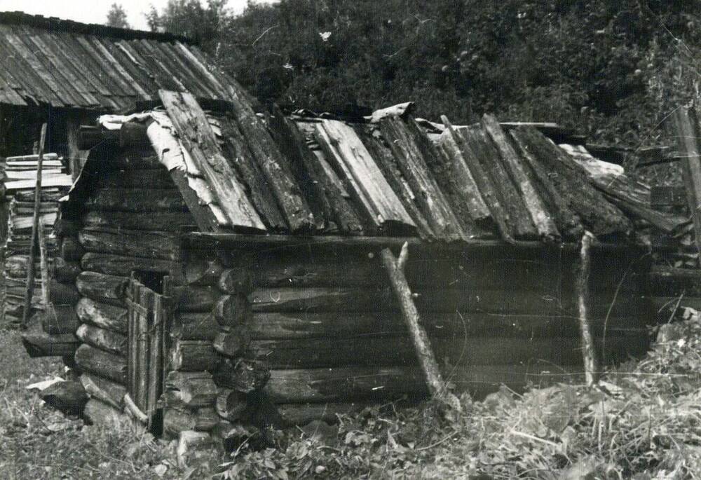 На данной фотографии изображен