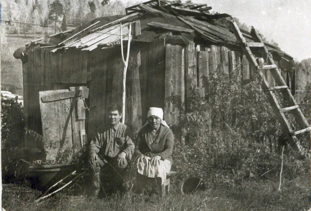 На данной фотографии изображен