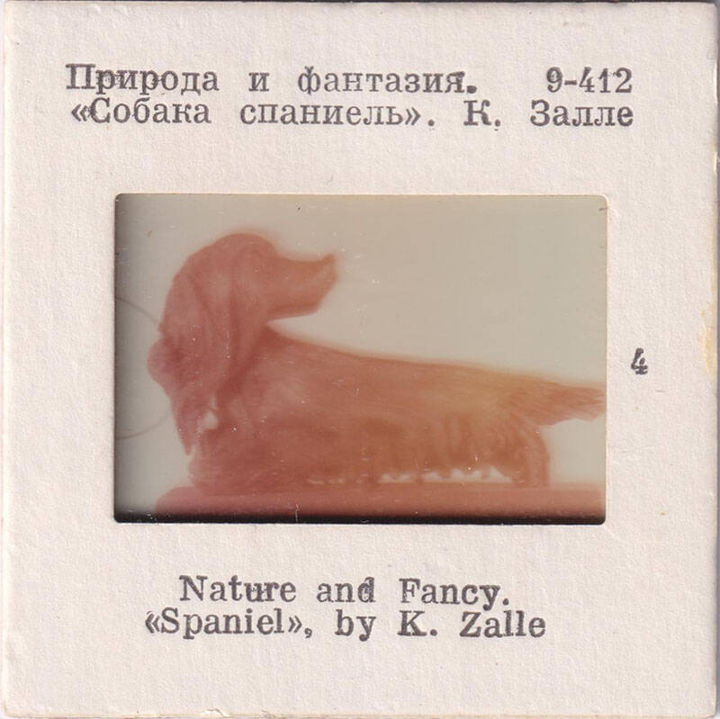 Природа и фантазия. Собака спаниель. К. Залле  4  из комплекта диапозитивов Природа и фантазия