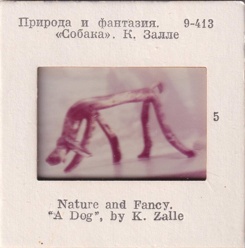 Природа и фантазия. Собака. К.Залле  5  из комплекта диапозитивов Природа и фантазия