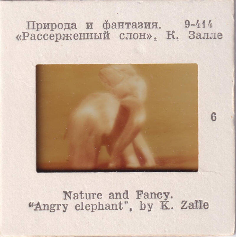Природа и фантазия. Рассерженный слон. К. Залле  6  из комплекта диапозитивов Природа и фантазия