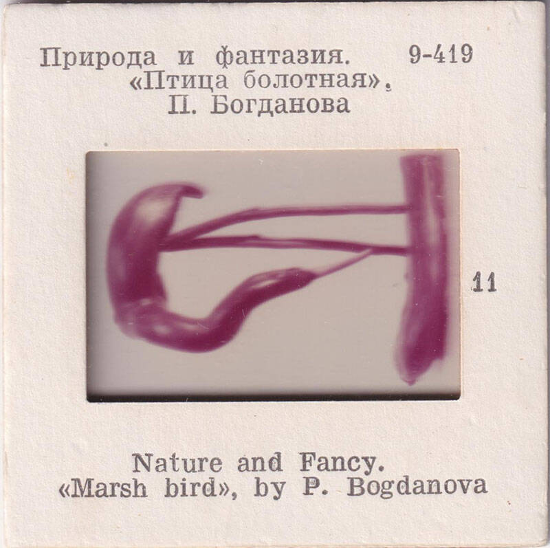 Природа и фантазия. Птица болотная,  П. Богданова  11  из комплекта диапозитивов Природа и фантазия