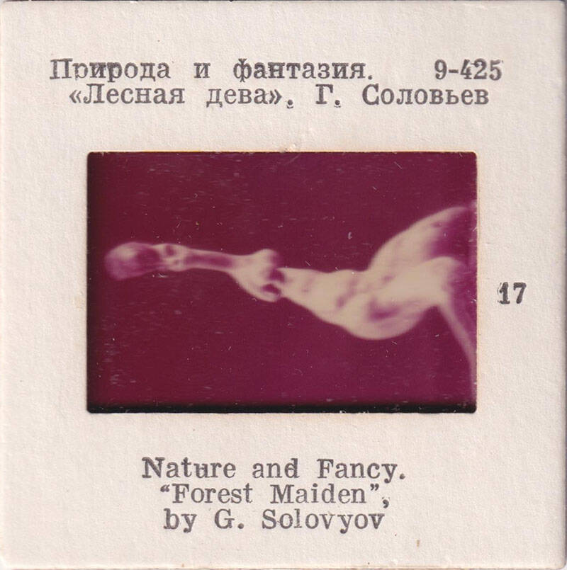 Природа и фантазия. Лесная дева.  Г. Соловьев  17  из комплекта диапозитивов Природа и фантазия