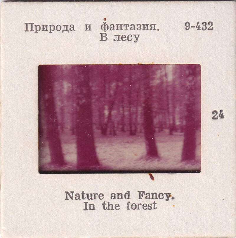 Природа и фантазия. В лесу  24  из комплекта диапозитивов Природа и фантазия
