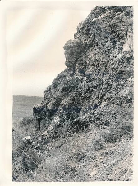 Фотография «Природа Забайкалья. Гнездо мохноного курганника на уступе базальтовой скалы. Обрыв на восточном берегу озера Зун-Торей»