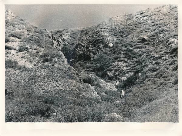 Фотография «Природа Забайкалья. Овраг на склоне горы Куку-Хадан. Восточный берег озера Зун-Торей»