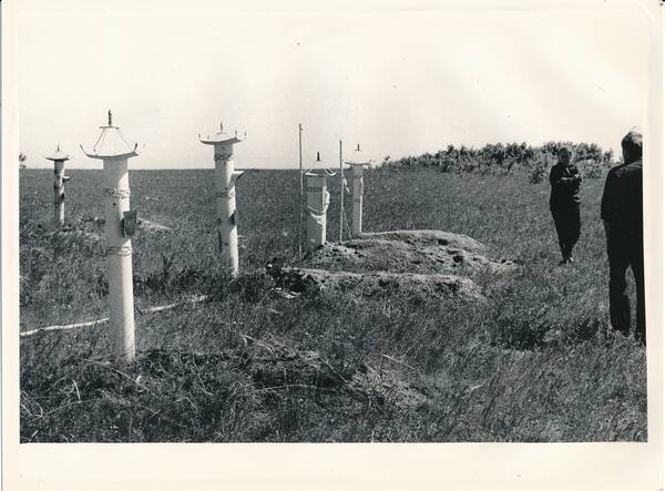 Фотография «Природа Забайкалья. Урочище Цырик-Нарасун. Бурятское кладбище»