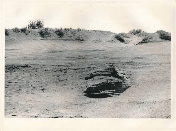 Фотография «Природа Забайкалья. Урочище Цырик-Нарасун. Котлован выдувания в незакрепленных песках»